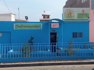 Clinica veterinaria Fluffy