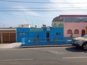 Veterinario en Antofagata